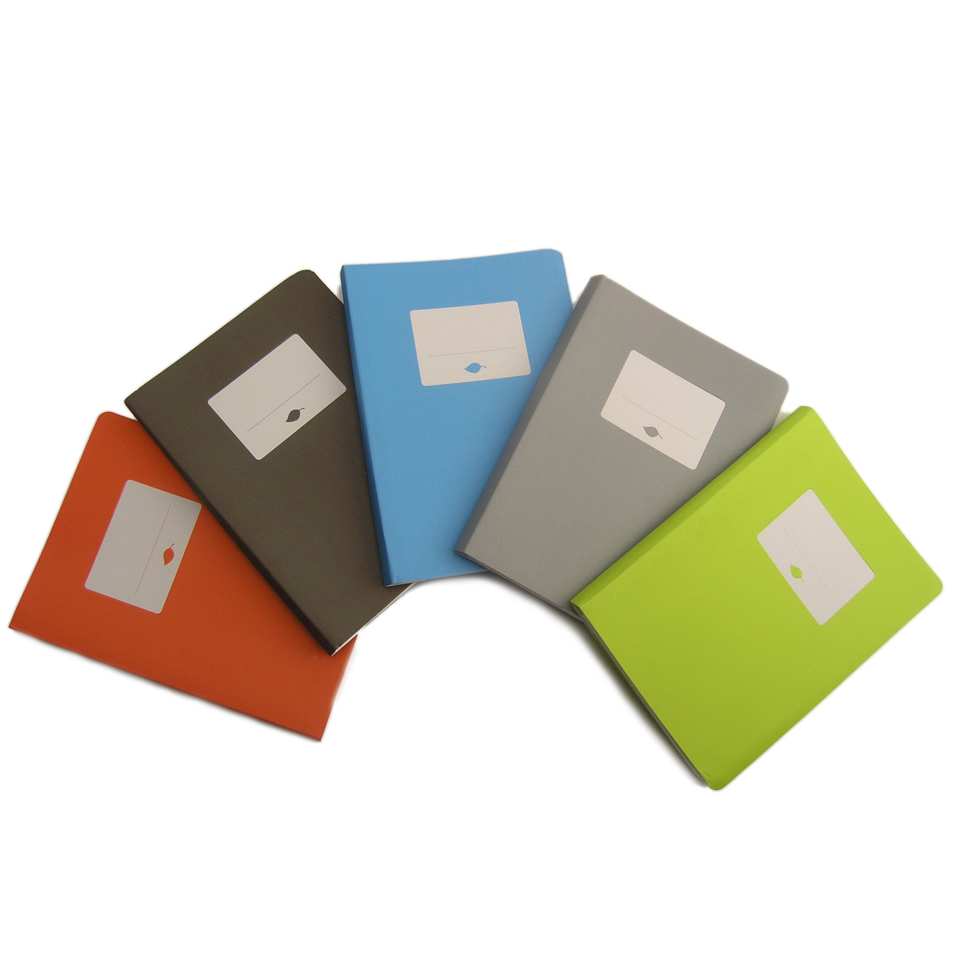 Terraskin notebooks